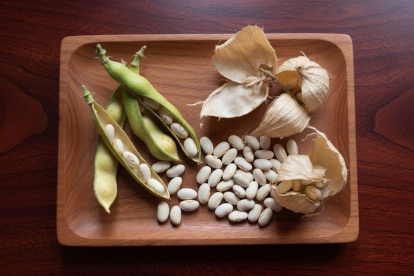 Green bean pods, dry beans and papery husks laid on a wooden tray